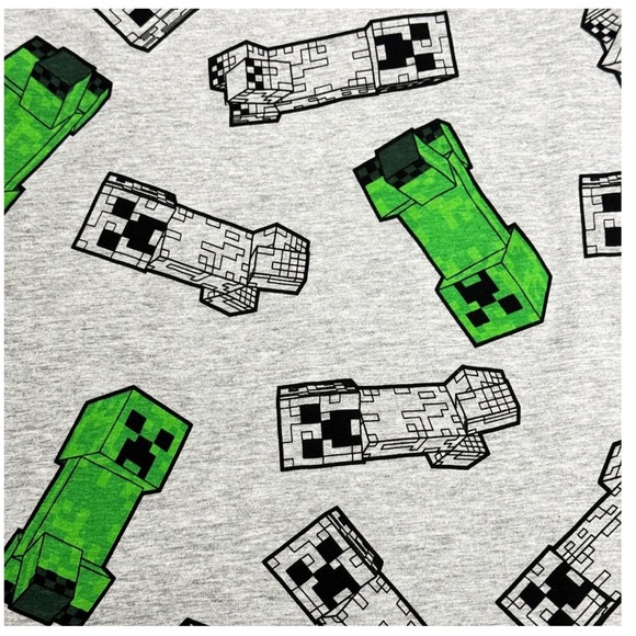 NWT Cotton Minecraft Kid Toddler XS (4-5) short sleeve t-shirt - Picture 5 of 5